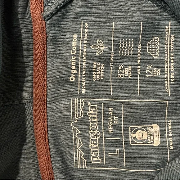 Patagonia Women's organic Teal Hoodie - Picture 5 of 5